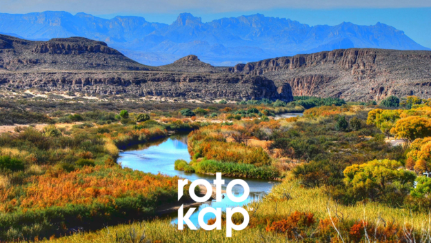 Untitled design (68)