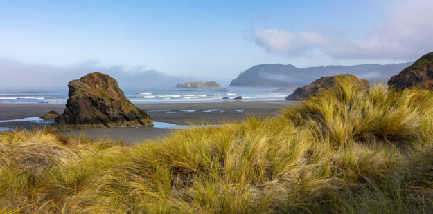 Oregon Coast Sand Dunes Ariya’s Beach .