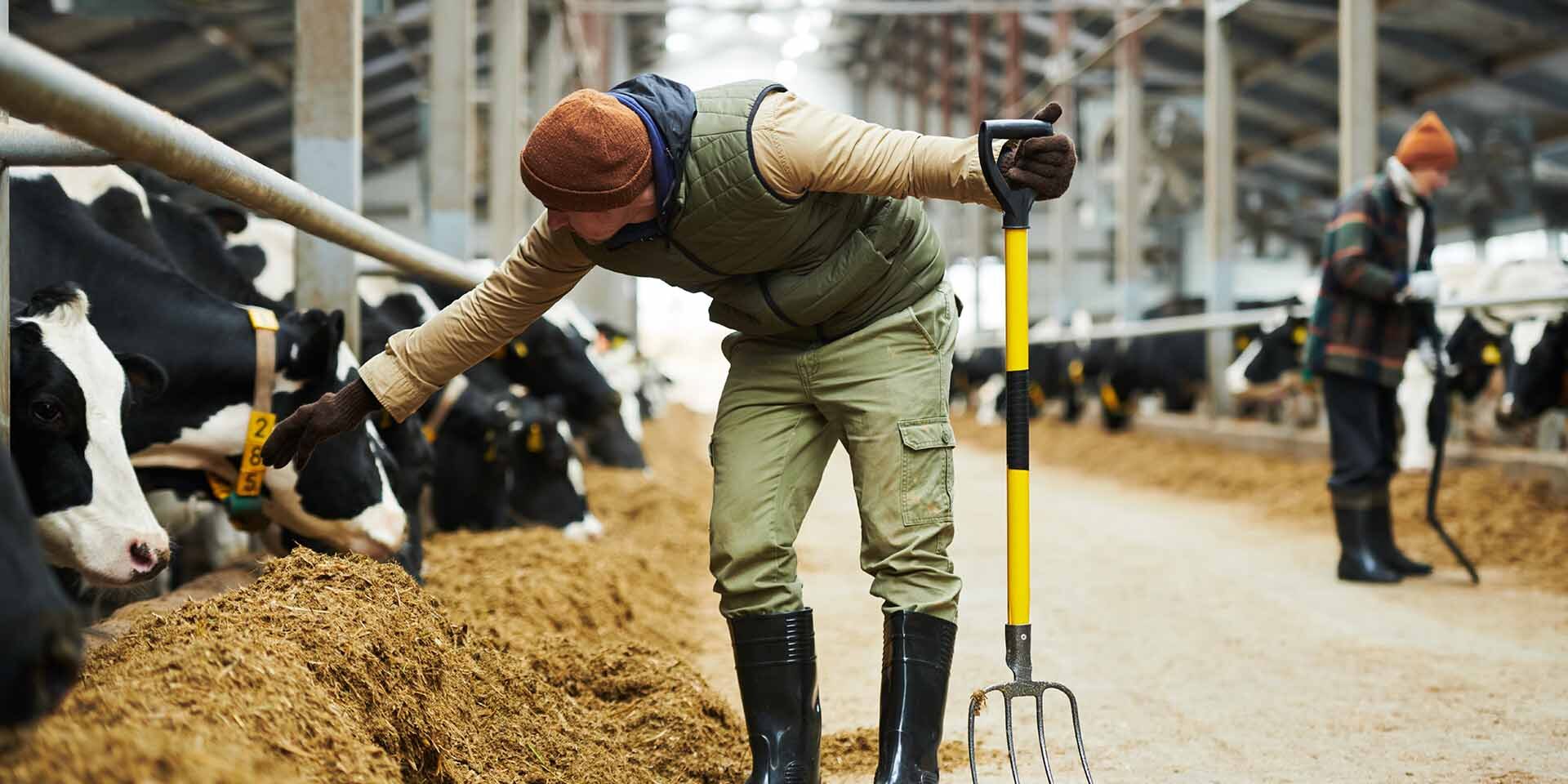 iStock-1447128585rsz