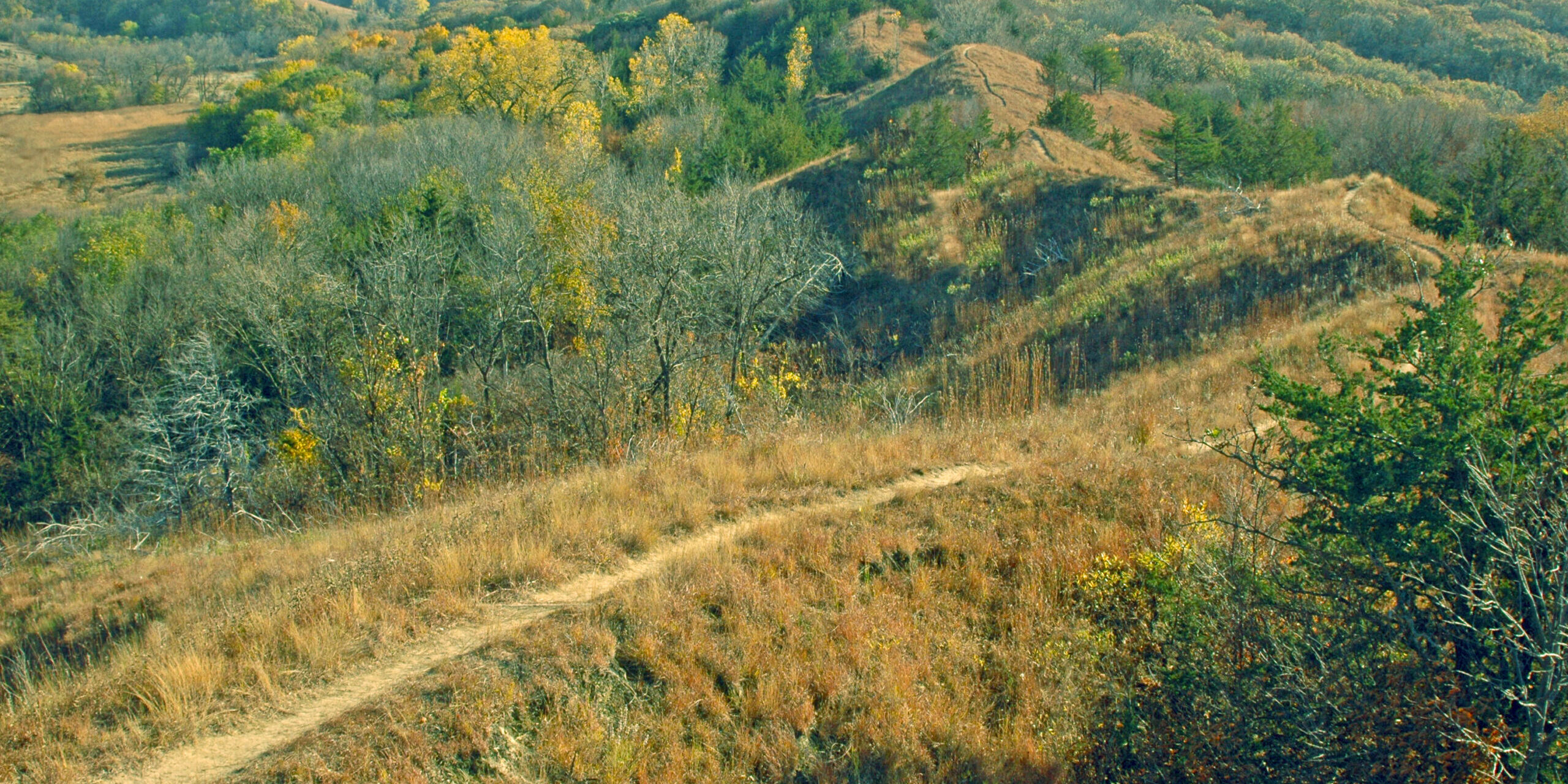 Trail on ridgetop through Loess Hills in western Iowa